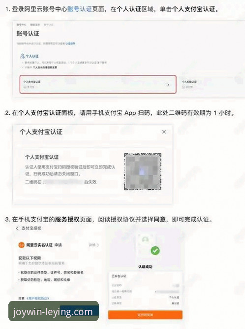 乐盈平台官方客户端如何下载？一份全面的获取与解析指南