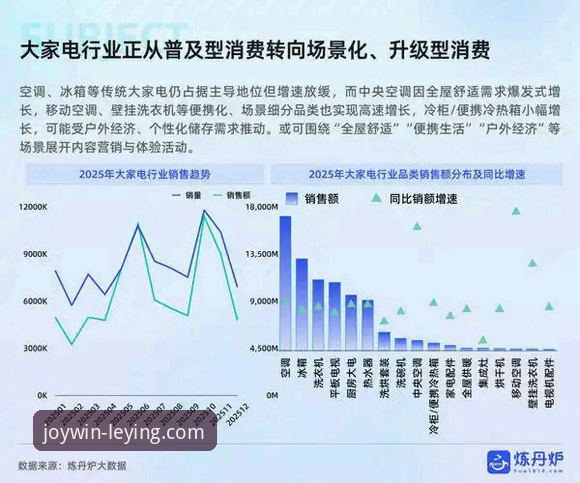 2026年乐盈平台深度评测：用户体验、技术更新与市场定位全解析